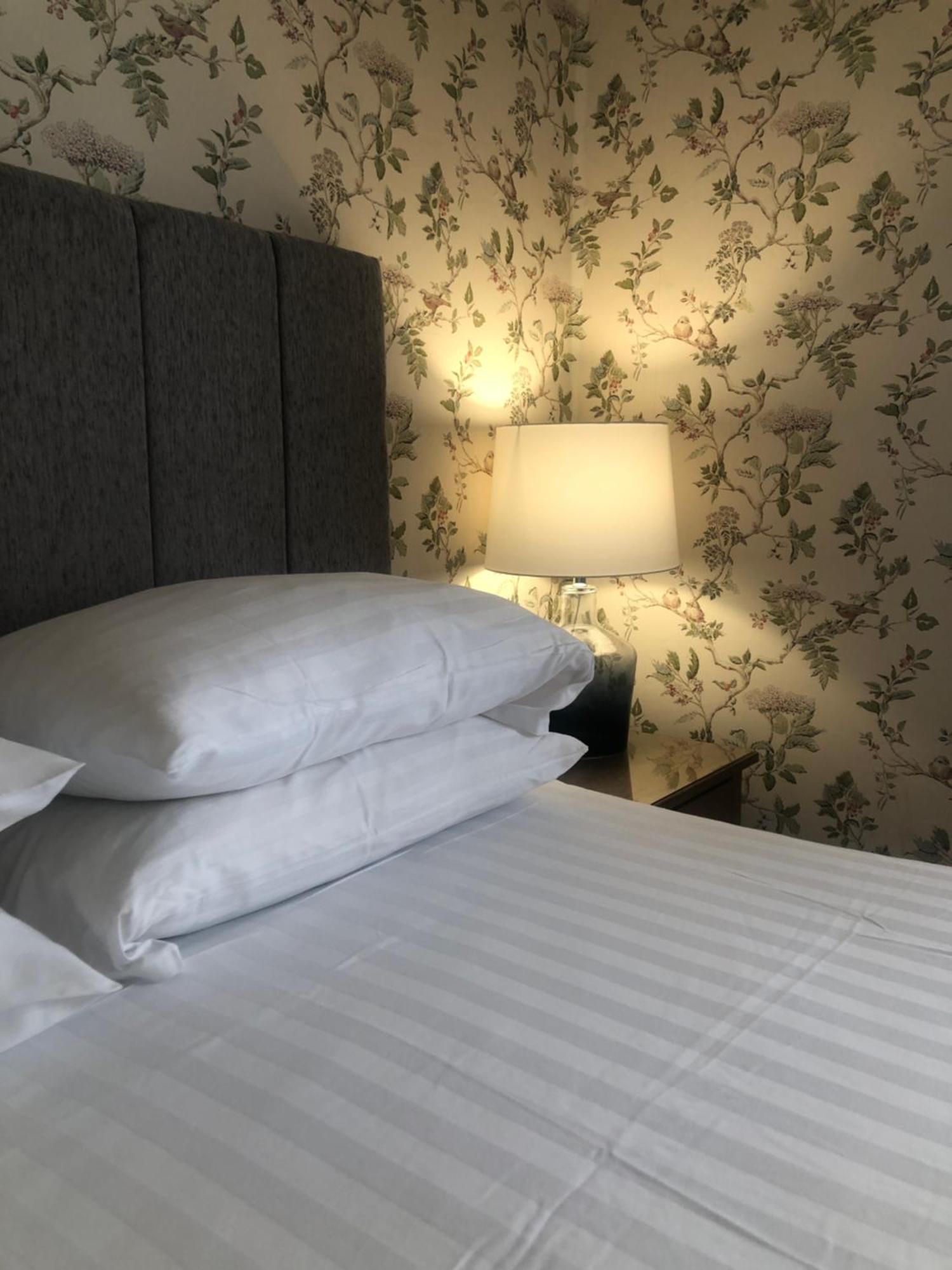 Helmsman Guesthouse 阿伯里斯特威斯 外观 照片